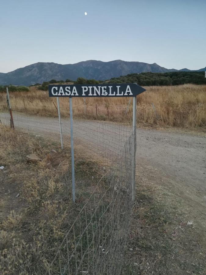 Villamassargia Casa Pinella 빌라 외부 사진