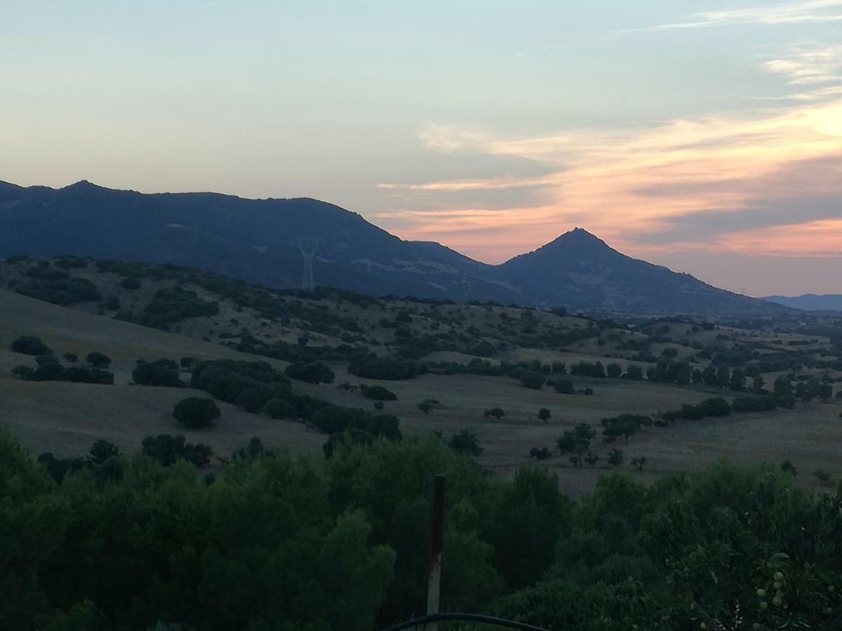 Villamassargia Casa Pinella 빌라 외부 사진