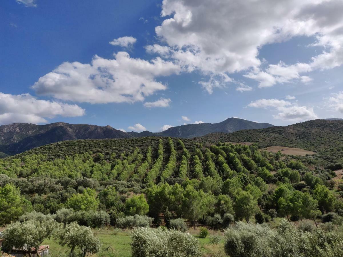 Villamassargia Casa Pinella 빌라 외부 사진